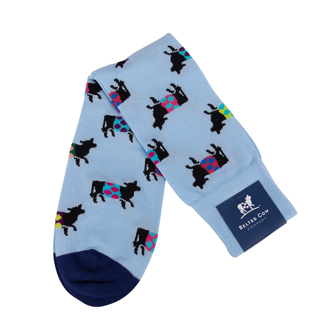 Beltie Socks in Light Blue