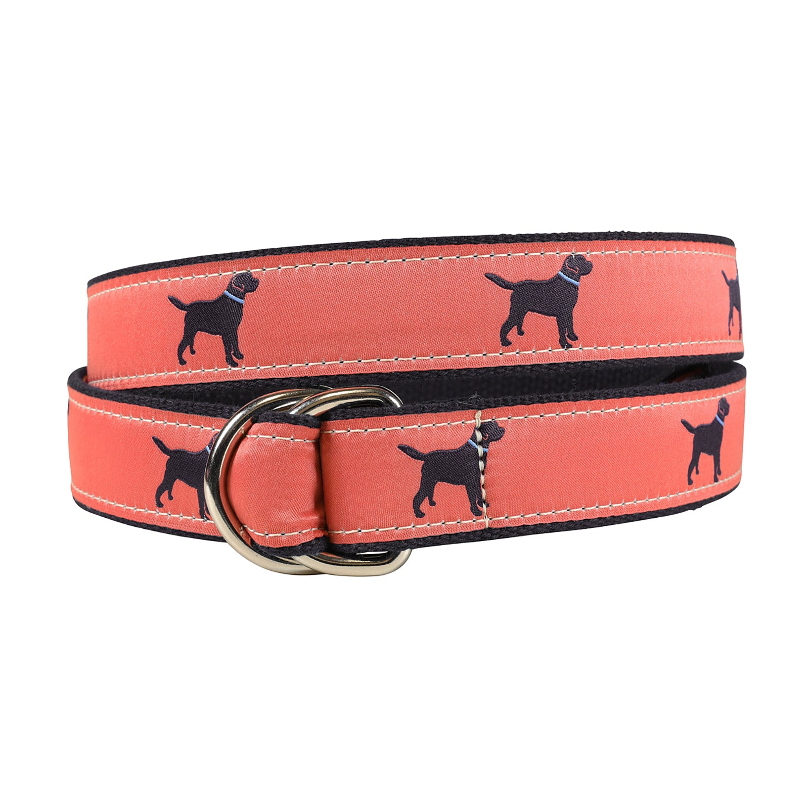 Labrador Retriever Ribbon D-Ring Belt display picture 1