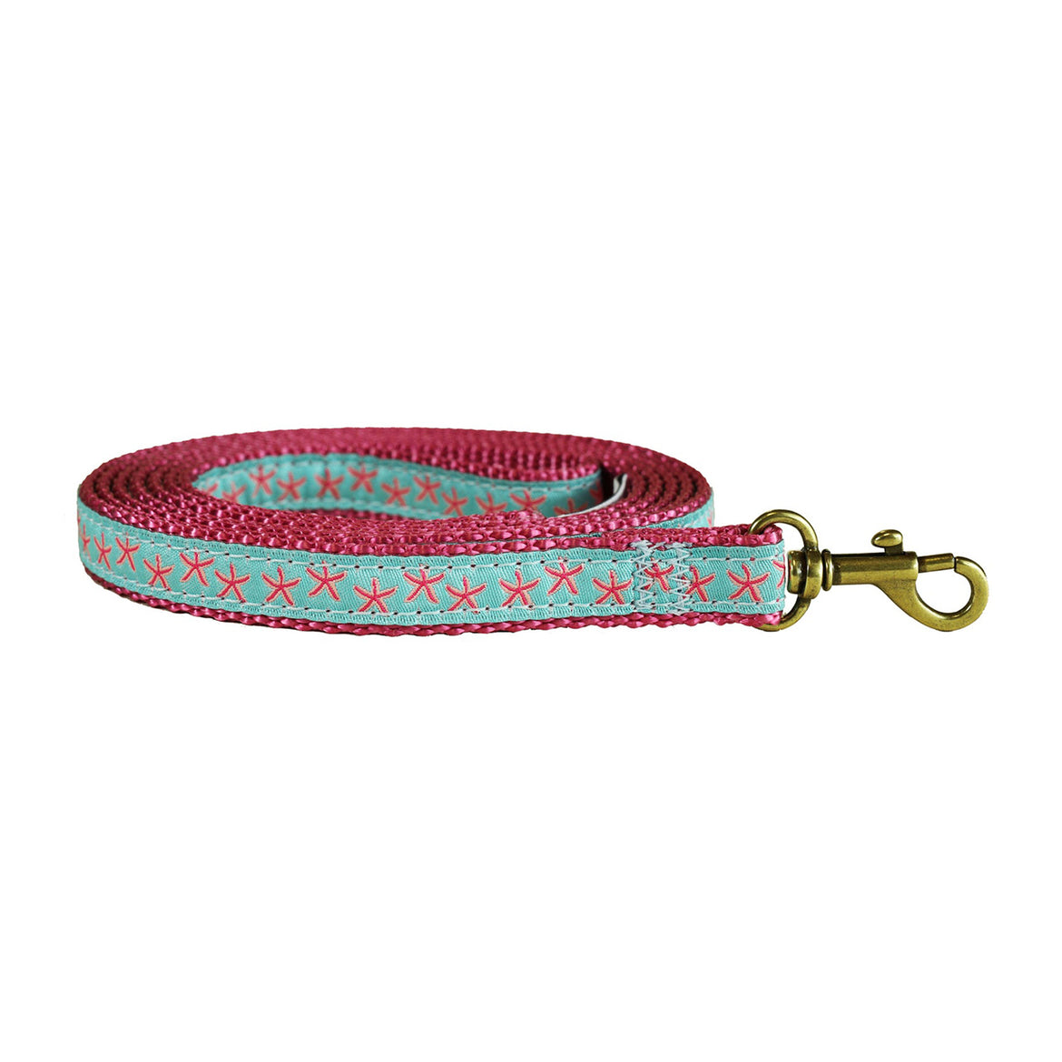 Starfish Ribbon Dog Leash in Aqua; Collar Width: 5/8 Inch;
