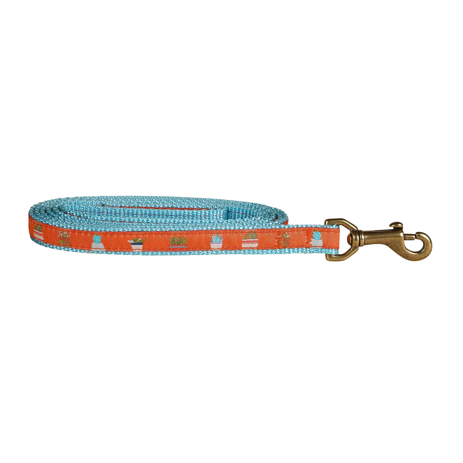 succulent ribbon Succulents Dog Lead | Orange