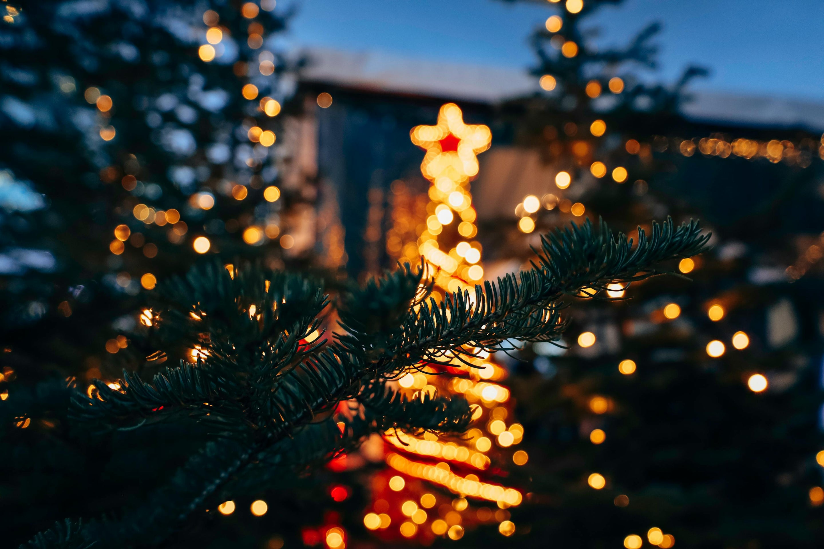 Woodie & Tree Design