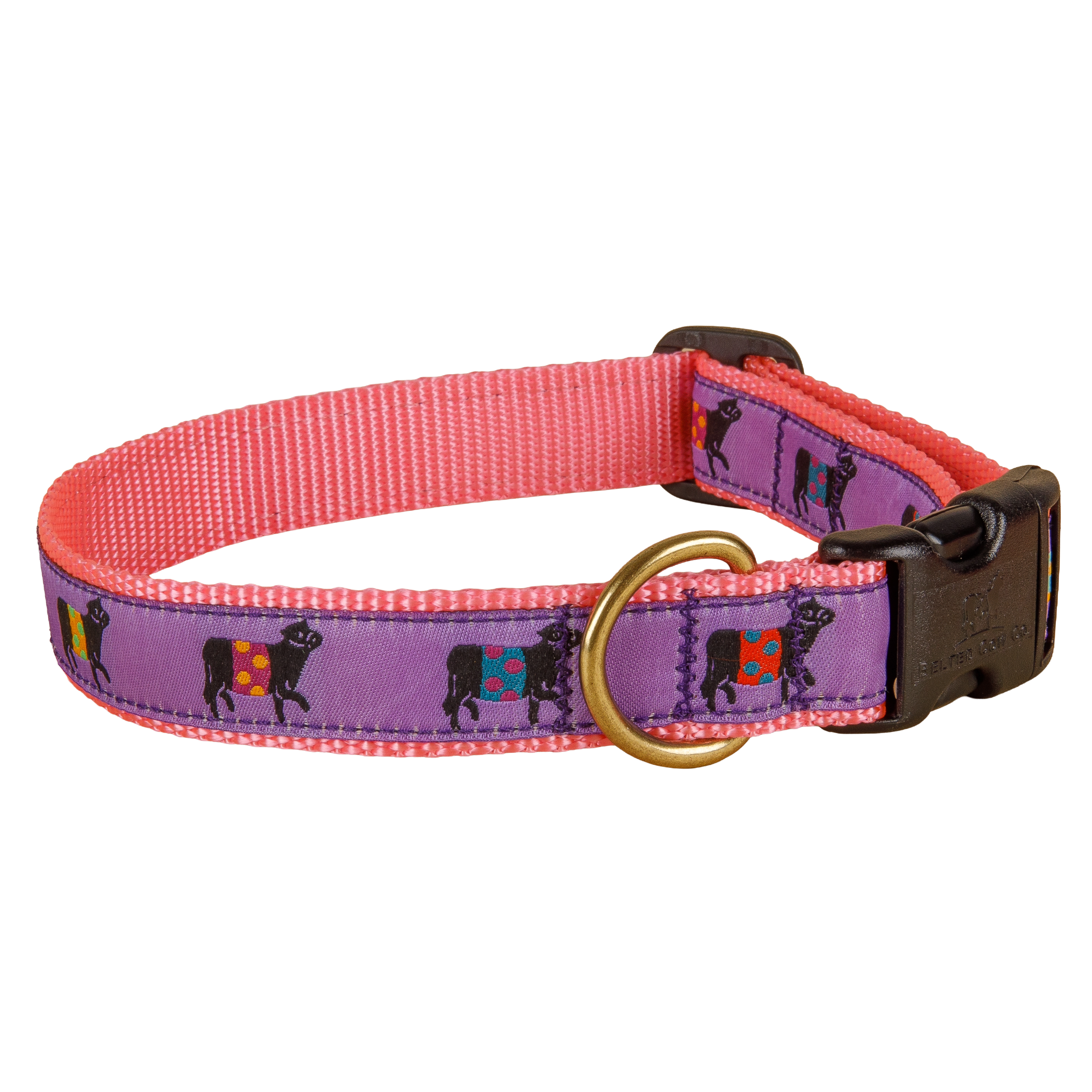 Beltie Ribbon Dog Collar in Purple, Collar Width: 1 Inch