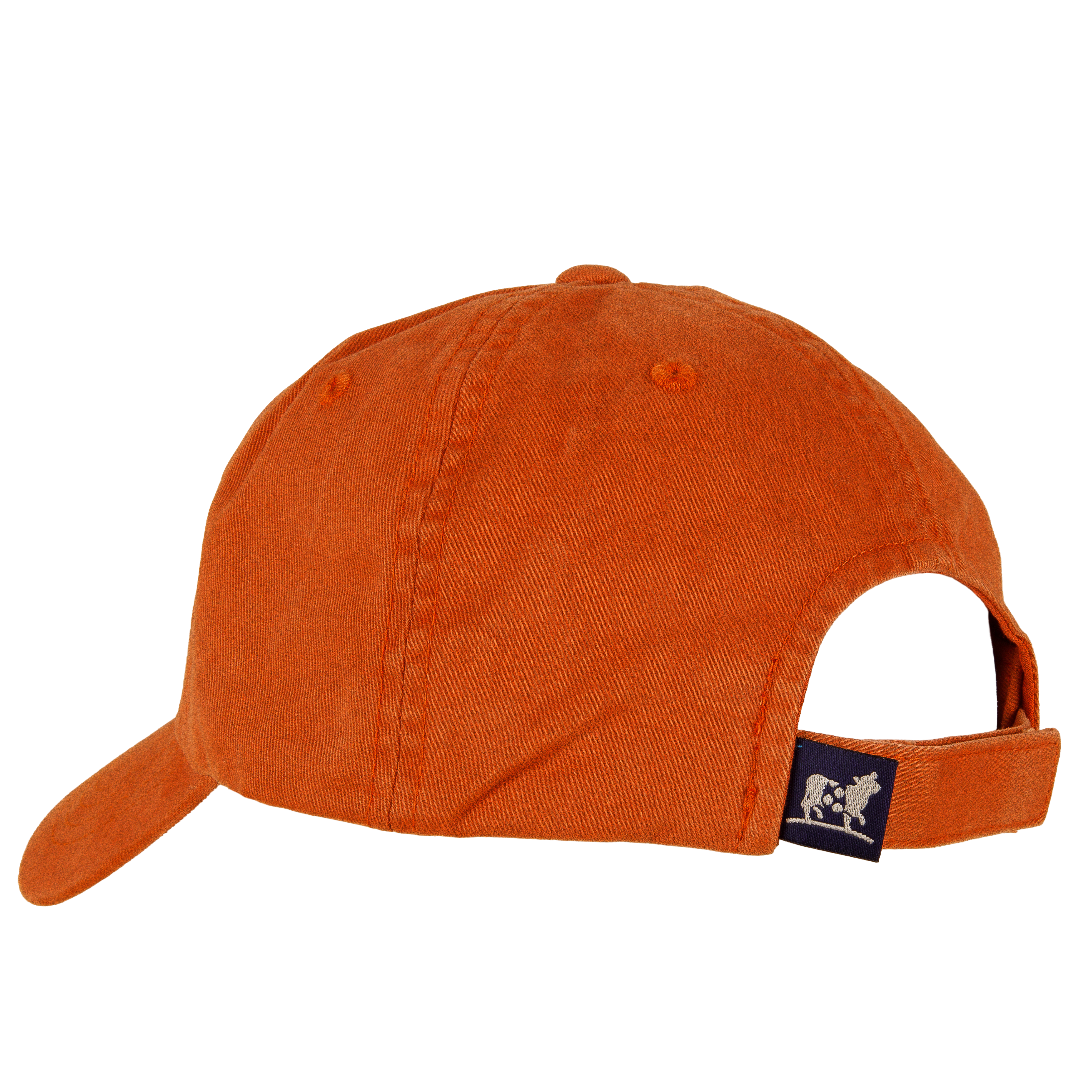 Road Bike Dad Hat