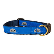 Harbor Seal Ribbon Dog Collar in Blue, 1 Inch
