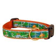 Lets Camp Ribbon Dog Collar in Colorful- Collar Width: 1 Inch