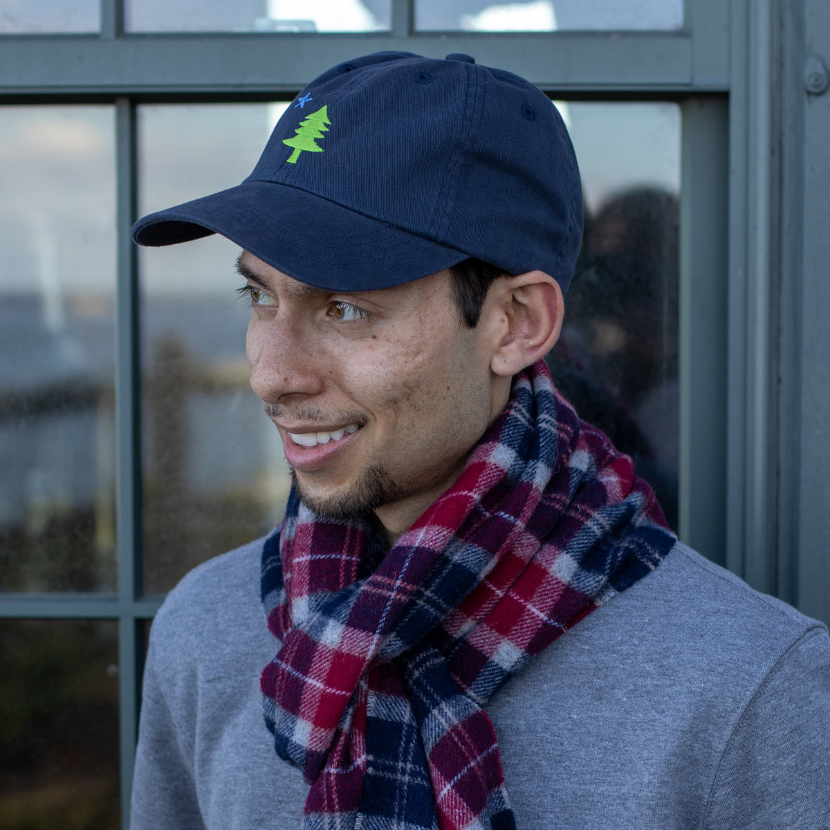 Maine Tree & Star Dad Hat