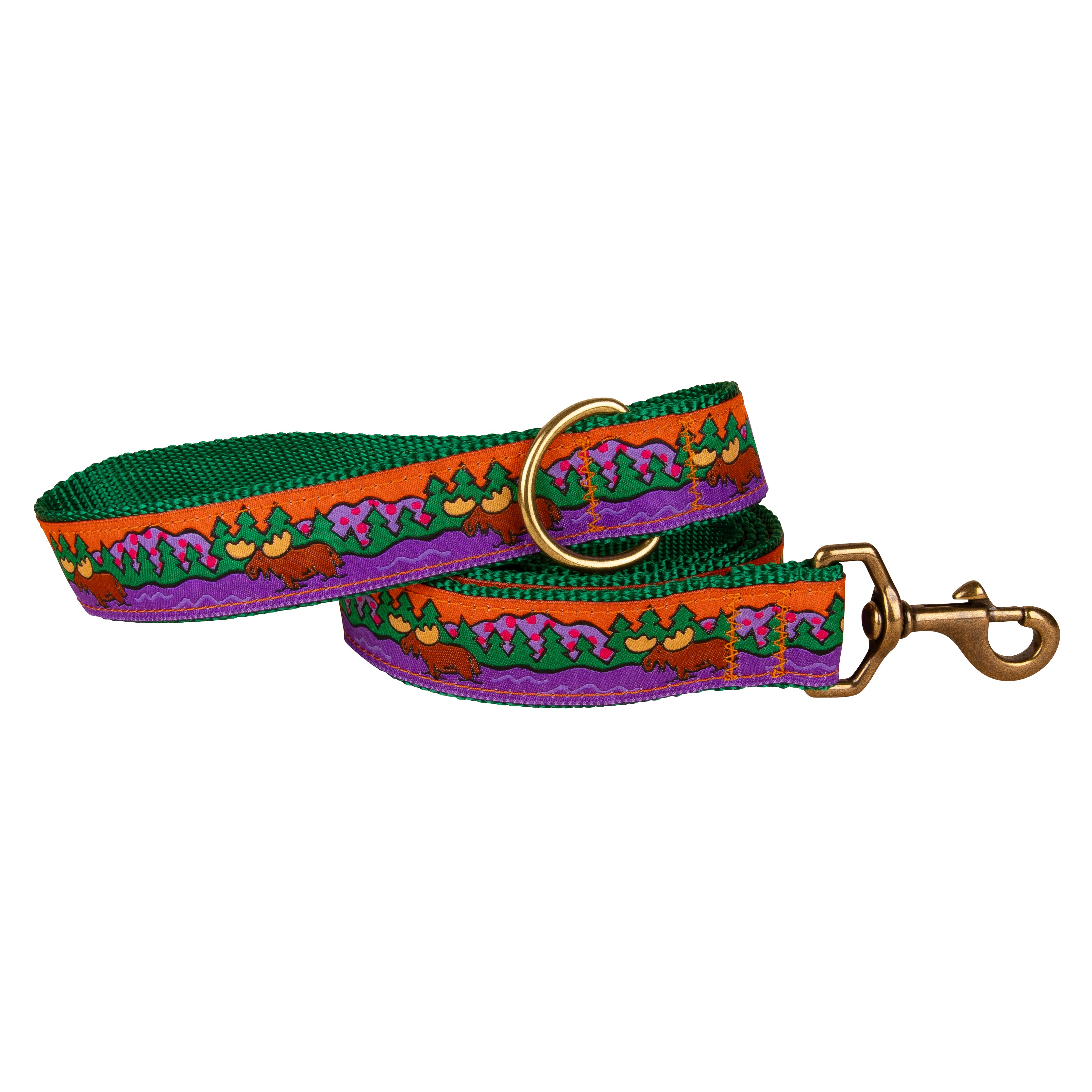 Moose II Ribbon Dog Leash in Purple; Collar Width: 1.25 Inch; : 