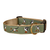Puffins_Ribbon_Dog_Collar Product Image, Grey, 1.25 Inch