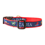 Acadia Ribbon Dog Collar in Blue - Collar Width: 1 Inch Thumbnail