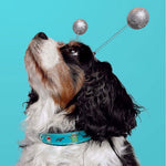 Aliens Ribbon Dog Collar Thumbnail