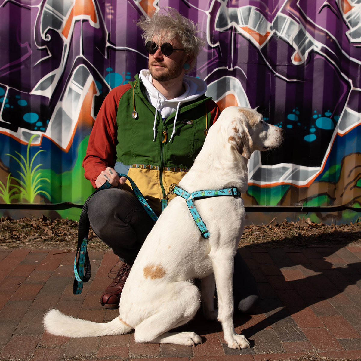 Aliens Ribbon Dog Harness