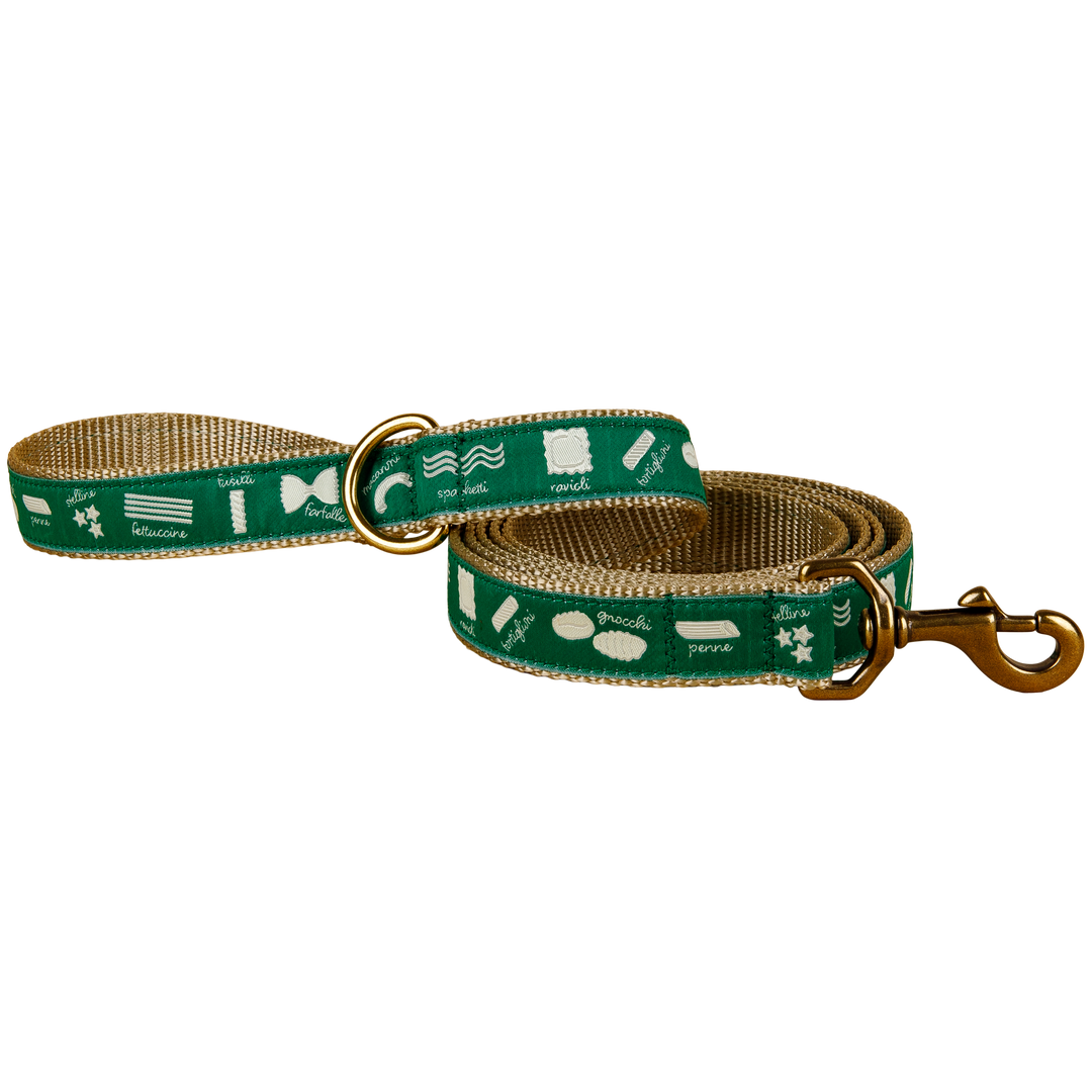 Pasta Ribbon Dog Leash in Green, 1-inch