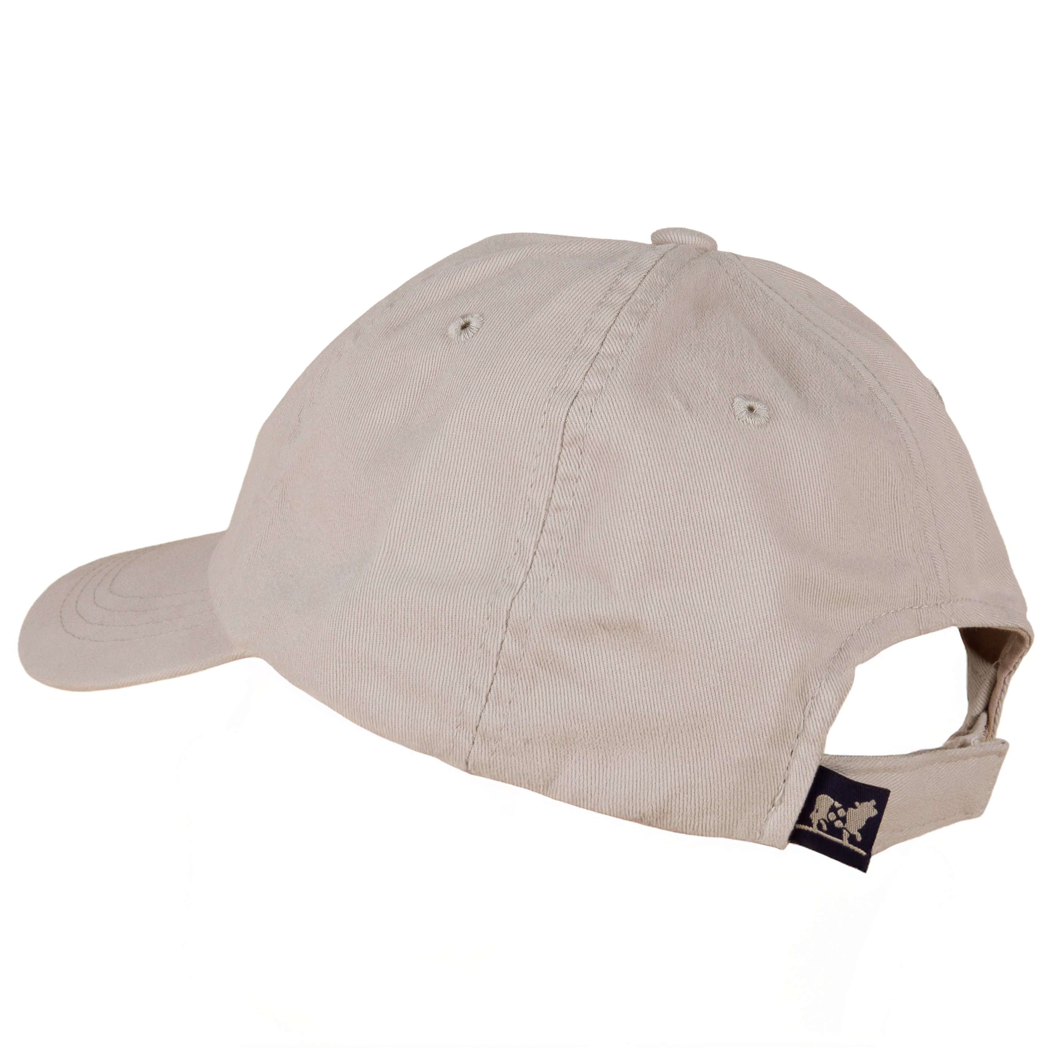 WTF Dad Hat