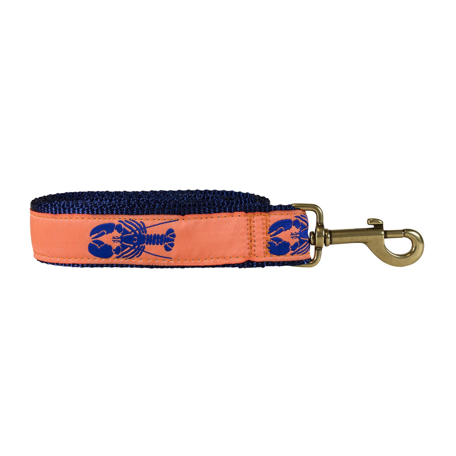 Animal World Hundehalsband 'Leader Of The Pack' – Schmal 5/8 Zoll, Größe XS, Nylon, Messing-Schnalle