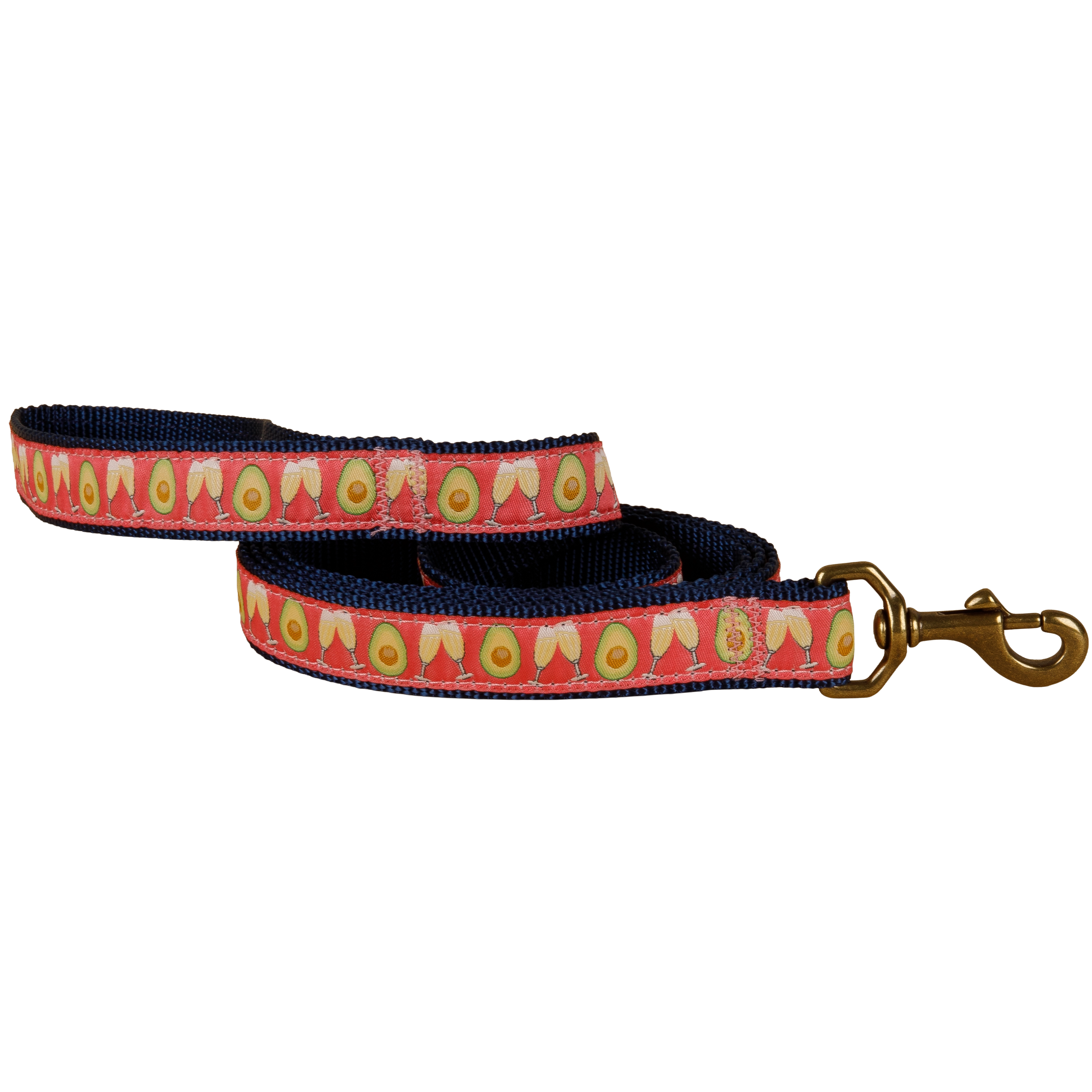 Avocado Toast Ribbon Dog Leash