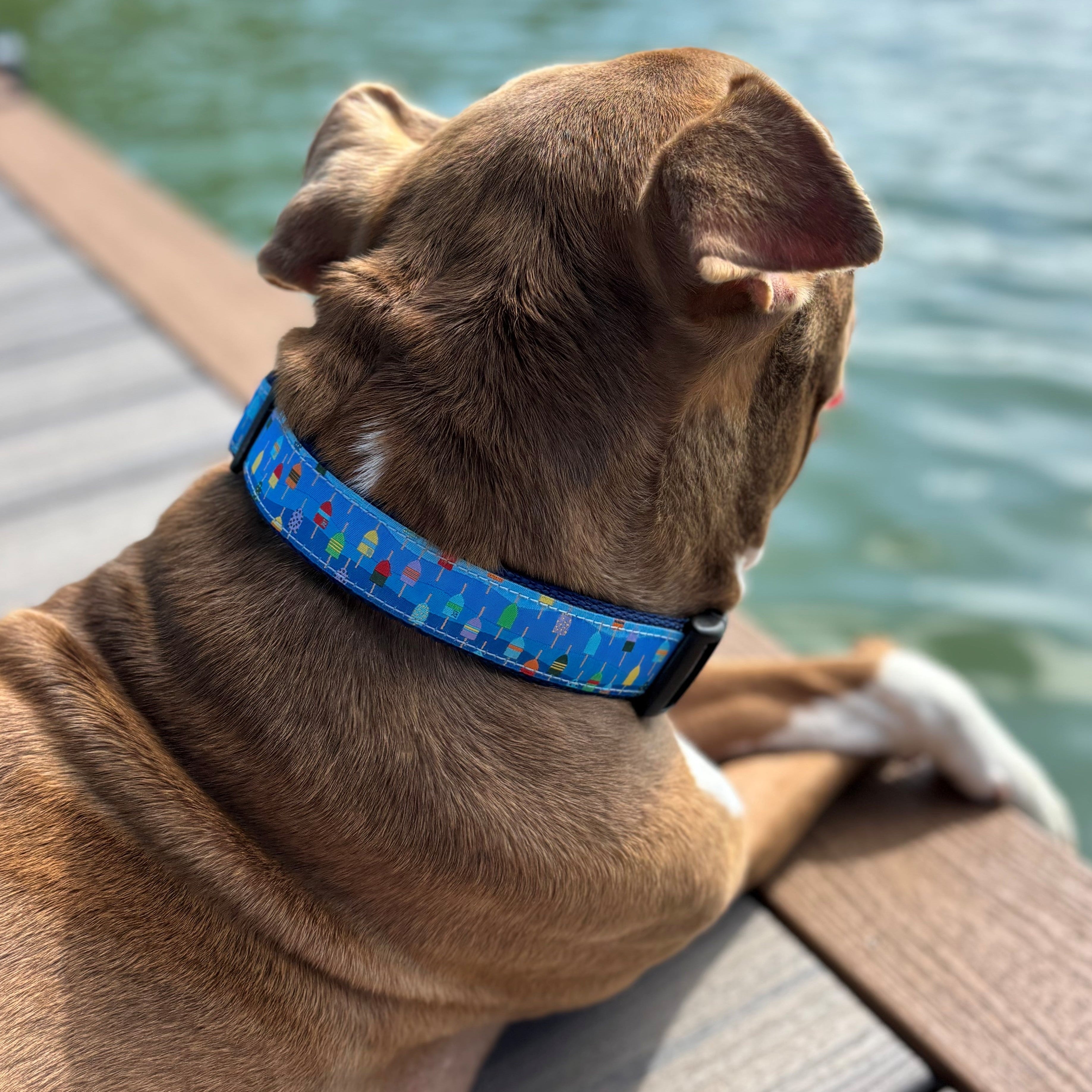 Lobster Buoys Ribbon Dog Collar
