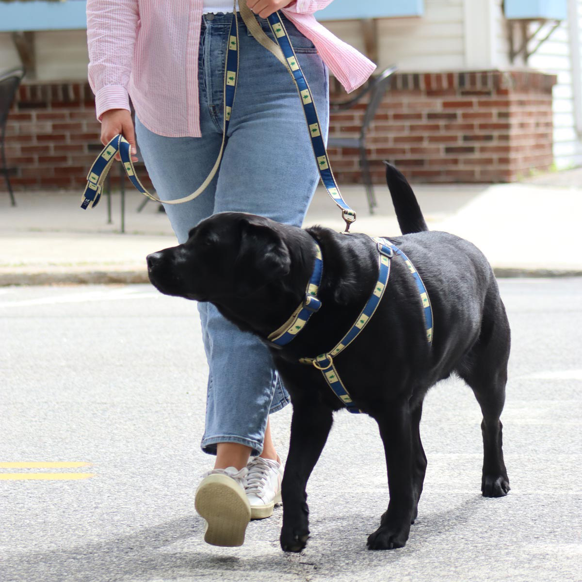Original Maine Flag Ribbon Dog Leash