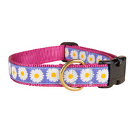 Daisies Ribbon Dog Collar in Periwinkle, Collar Width: 1 Inch