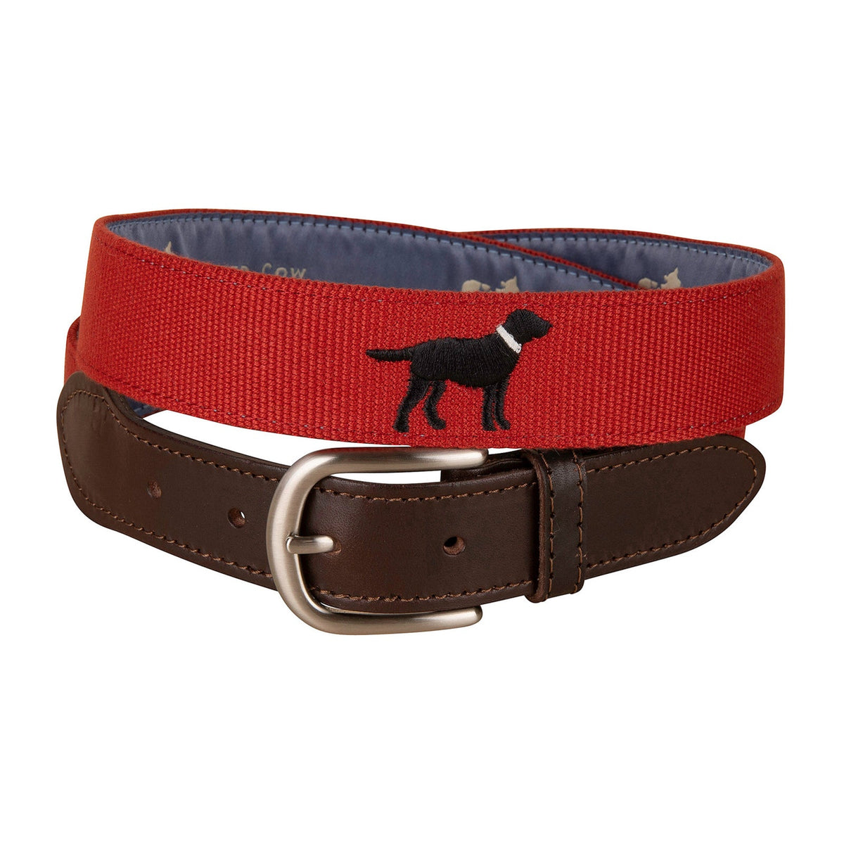 Labrador Retriever Ribbon Dog Collar