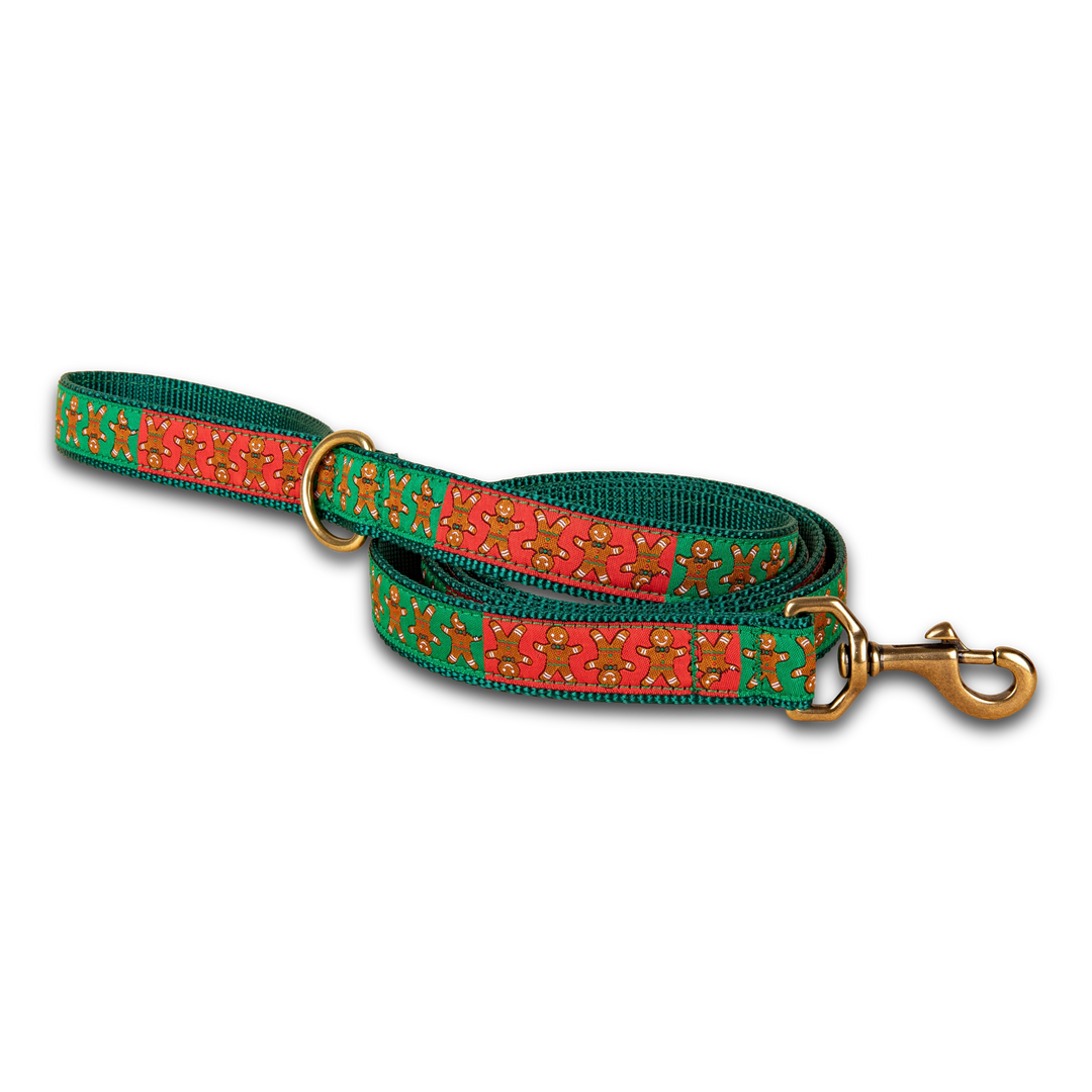 Gingerbread Ribbon Dog Leash in Green / 1 Inch