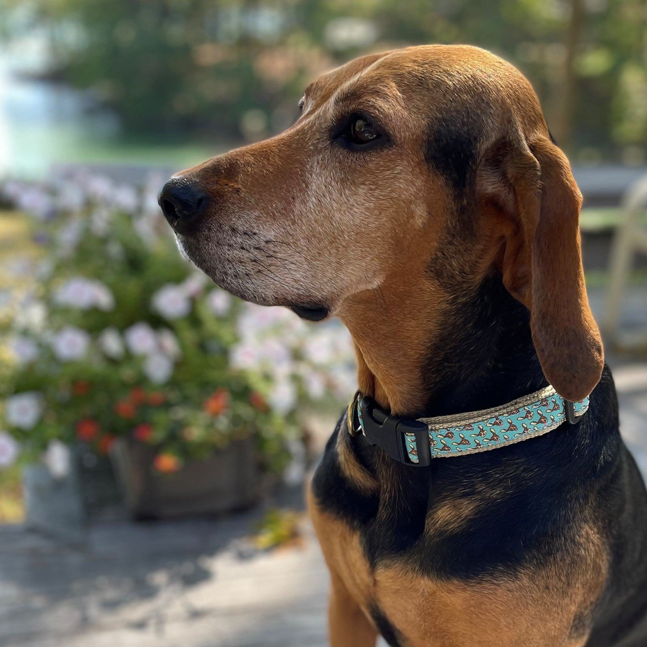 Houndstooth Ribbon Dog Collar