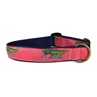 Iguana on Roller Skates Ribbon Dog Collar in Coral - Collar Width: 1.25 Inch