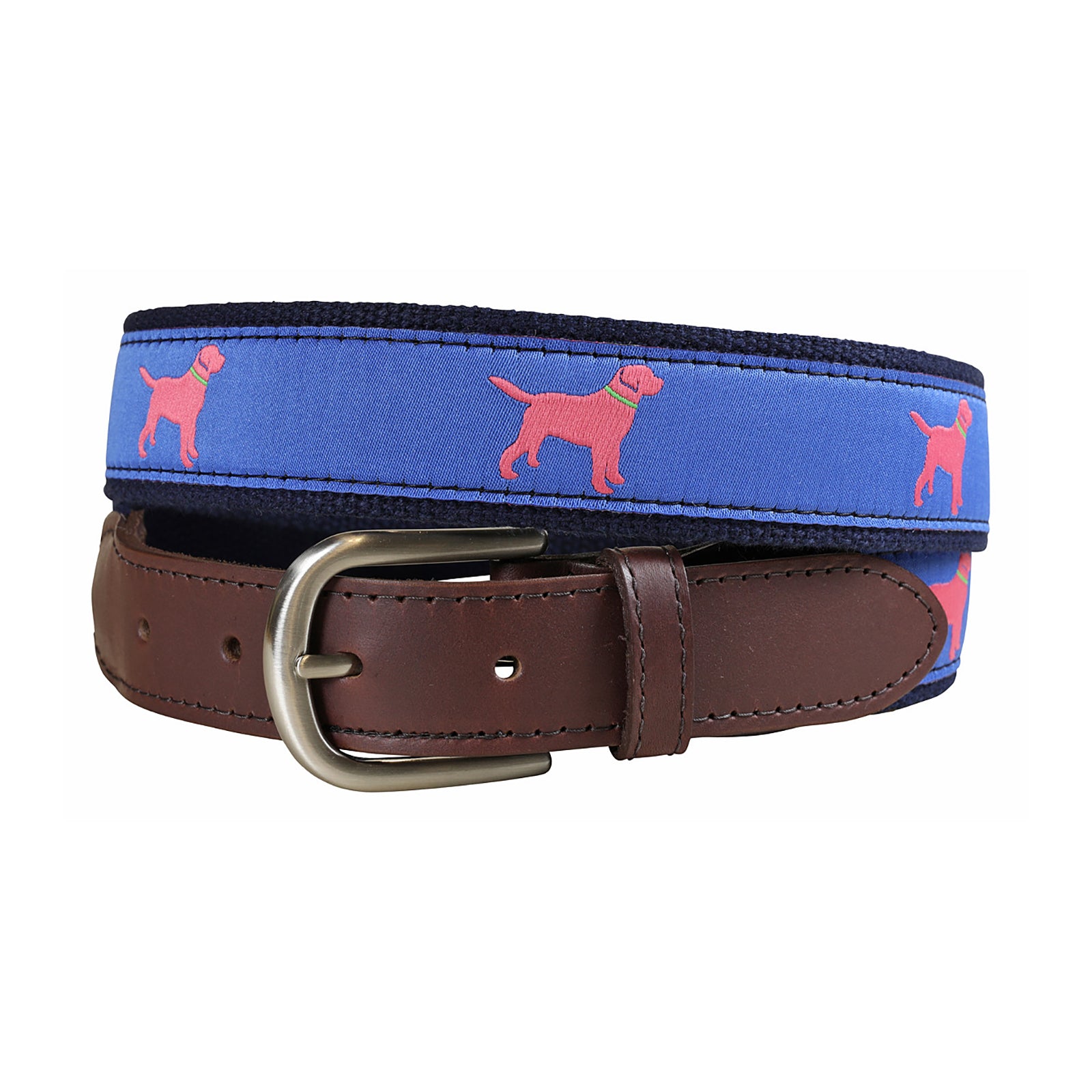 Lab Puppy Labrador Neck Belt PVC Dog Rope Multi Functional Pet