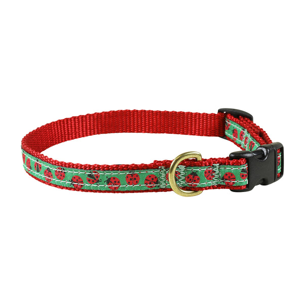 Lady Bugs Dog Collar