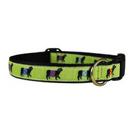 Beltie Ribbon Dog Collar in Lime, Collar Width: 1 Inch