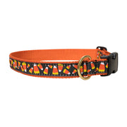 Candy Corn Ribbon Dog Collar in Black, Collar Width: 1 Inch