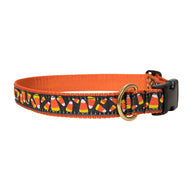 Candy Corn Ribbon Dog Collar in Black, Collar Width: 1 Inch