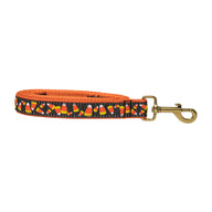 Candy Corn Ribbon Dog Leash in Black; Collar Width: 1 Inch; : 