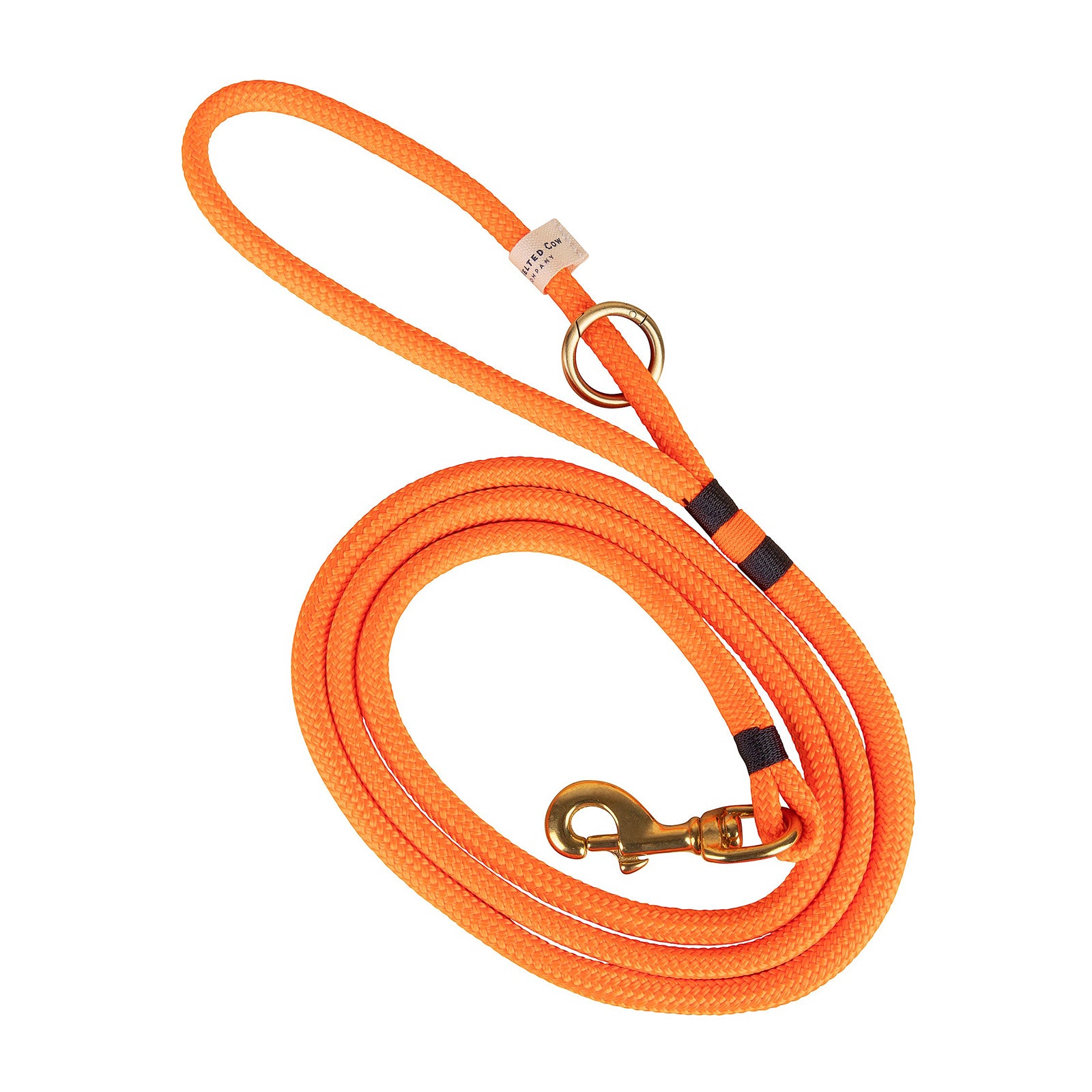 Orange / Navy - Maine Dock Line Leash from Belted Cow