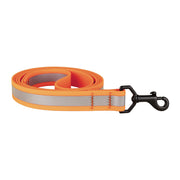 Reflective Biothane Dog Leash in Orange