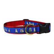 Rounding the Mark Ribbon Dog Collar in Blue, Collar Width: 1 Inch