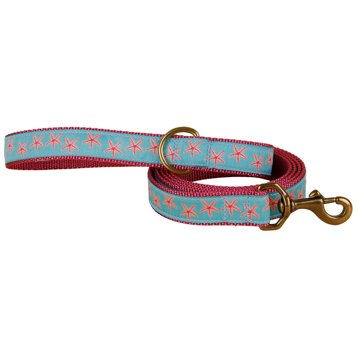 Starfish Ribbon Dog Leash in Aqua; Collar Width: 1 Inch
