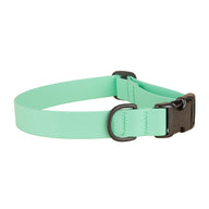 Waterproof Biothane Dog Collar in Seafoam; 1 Inch