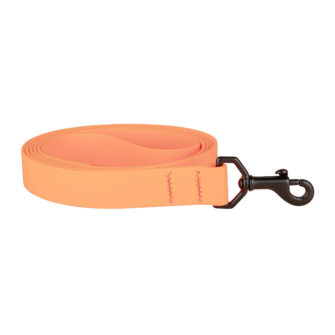 Waterproof Biothane Dog Leash in Melon