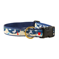 Seagulls & Sandcastles Ribbon Dog Collar in Colorful - Collar Width: 1 Inch