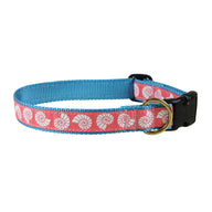 Seashells Ribbon Dog Collar in Coral - Collar Width: 1 Inch