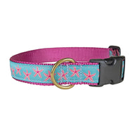 Starfish Ribbon Dog Collar in Aqua; Collar Width: 1 Inch