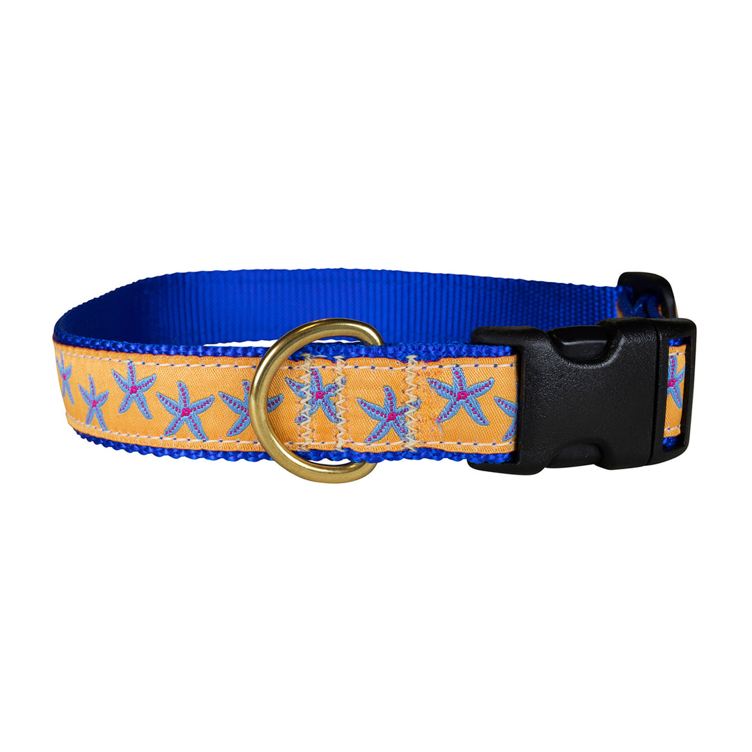 Starfish Ribbon Dog Collar in Melon; Collar Width: 1 Inch