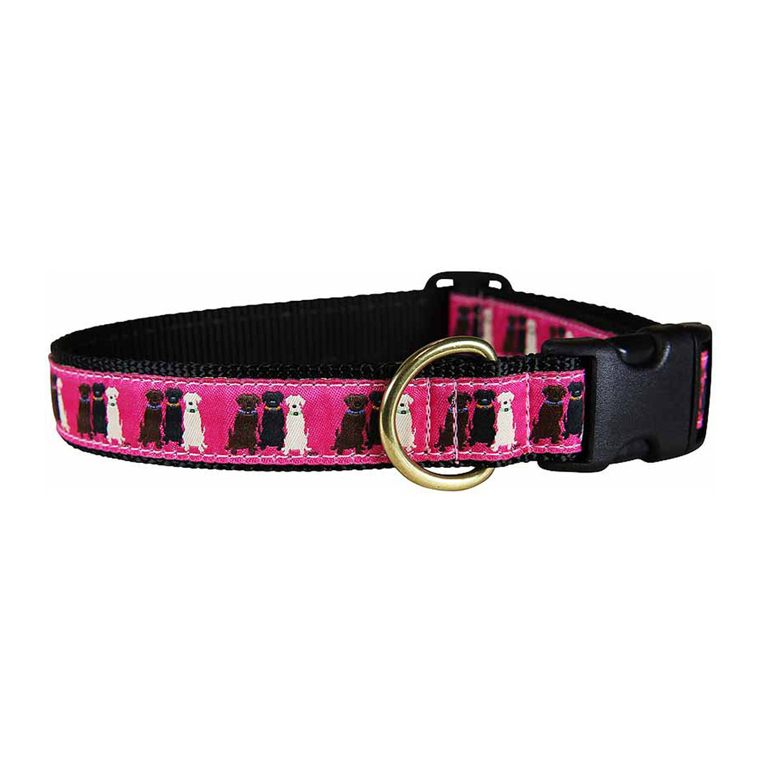 Three Labs Ribbon Dog Collar in Pink - Collar Width: 1 Inch, 1.25 Inch